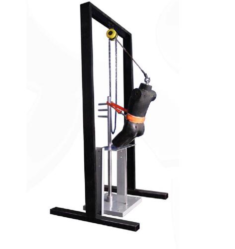 LGD-717安全帶整體滑落測(cè)試儀